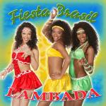 23-04-2008 - joerg - beverley_veranstaltung - fiesta_brasil - lambada-CD - v3-print.jpg